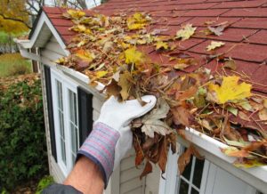 Gutter-cleaning